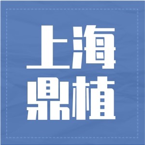 上海鼎植舒客口腔門診部