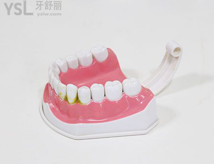 B6F97A1B-10B4-444d-BAFB-C2F710E27959.png