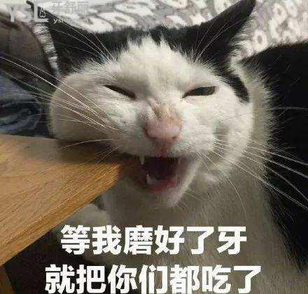 timg (1).jpg