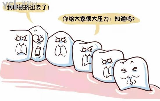 智齒.jpg