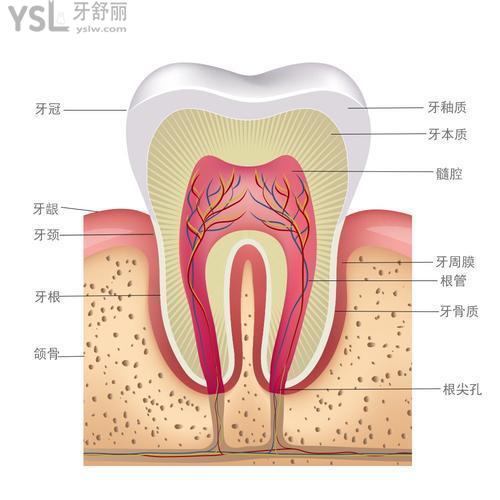下載 (1).jpg