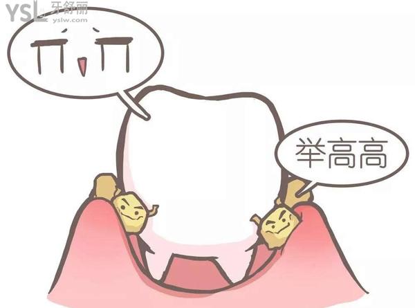 干貨＆牙齒松動有什么辦法 