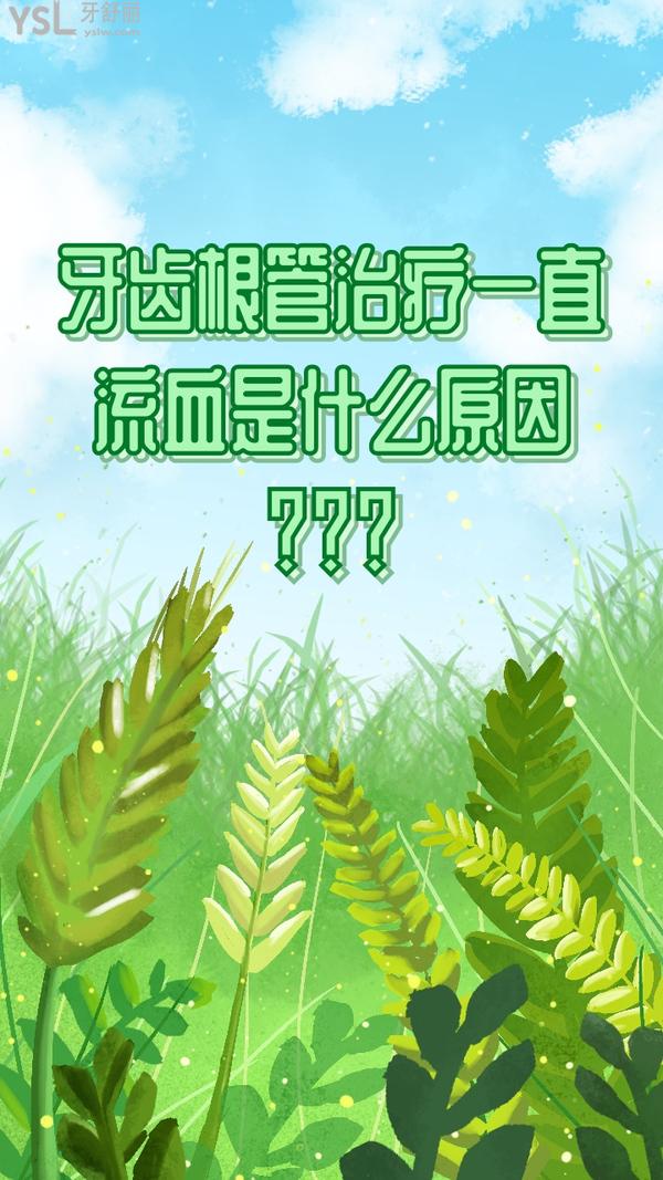 牙齒根管治療一直流血是什么原因？來看看你的問題出在哪