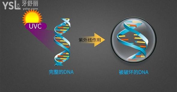 牙刷消毒器測評有用