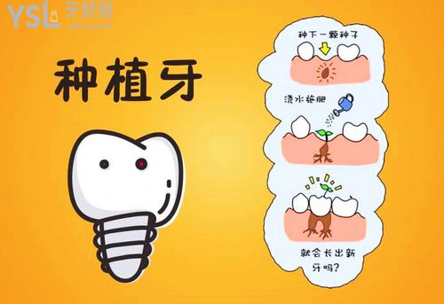 登騰與奧齒泰優(yōu)劣對(duì)比，兩者區(qū)別在哪里？