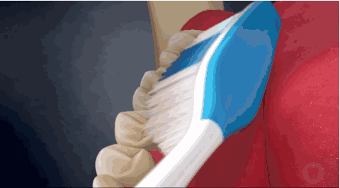  去黃牙膏哪個牌子好 .gif