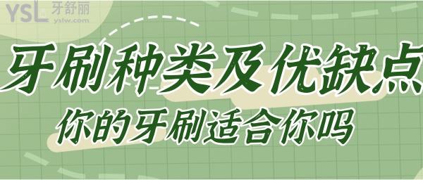 牙刷的種類