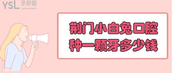 荊門小白兔口腔種一顆牙多少錢