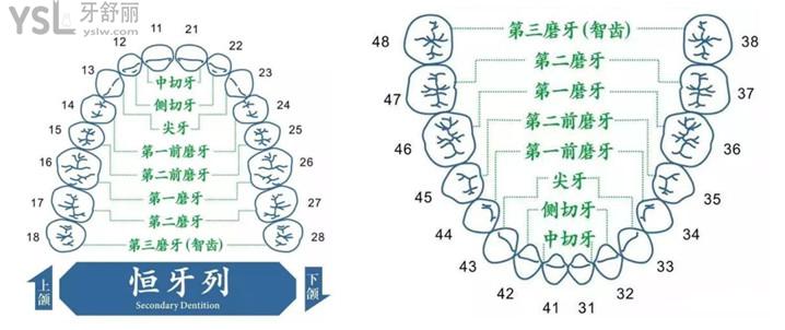 西安牙科怎么收費的 2021西安口腔價格表