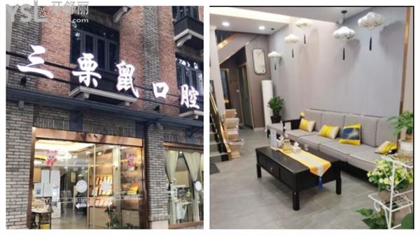 三栗鼠口腔環(huán)境圖片