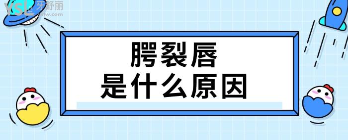 腭裂唇是什么原因，如何預防？.jpg