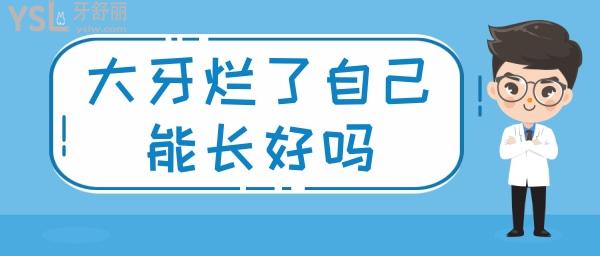 大牙爛了個大窟窿能自己長起來嗎