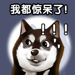 種植牙2980元、3980元、3999元哪個是騙局.gif