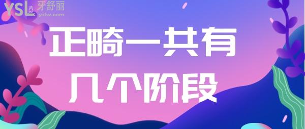 正畸有幾個階段
