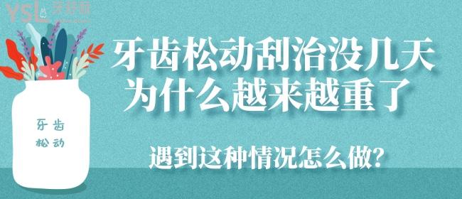 牙齒松動(dòng)刮治沒幾天為什么越來越重了 