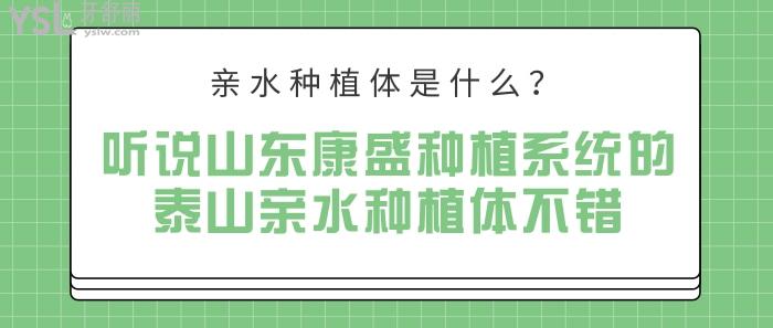 親水種植體是什么，山東康盛種植系統(tǒng)的泰山親水種植體