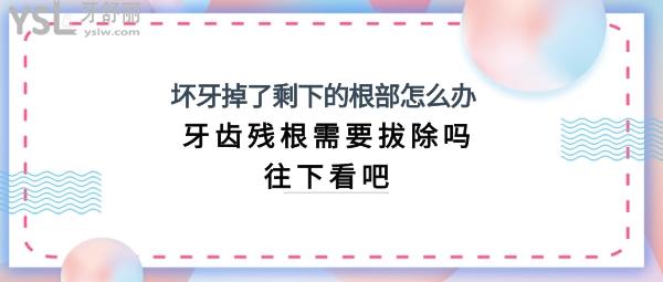 壞牙掉了牙根怎么處理
