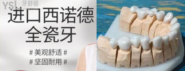 德國西諾德全瓷牙