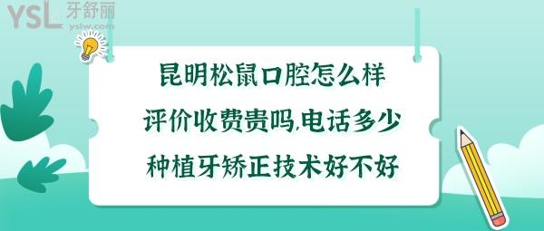 昆明松鼠口腔好不好
