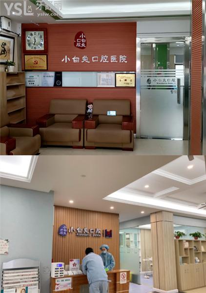 荊門小白兔口腔收費(fèi)貴嗎高不