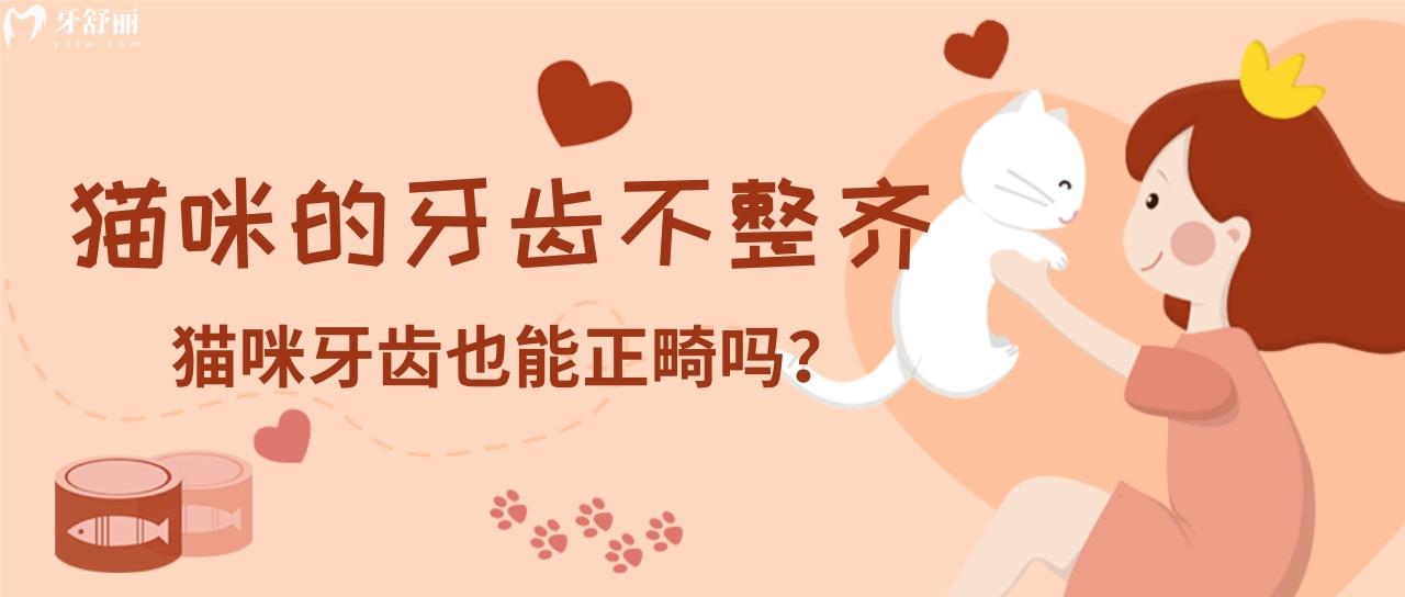貓咪的牙齒不整齊怎么回事 揭秘牙頜畸形種類和原因
