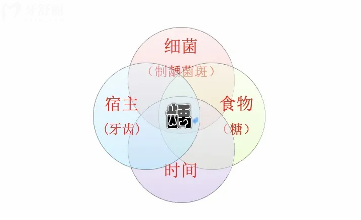 蛀牙由哪些方面引起的