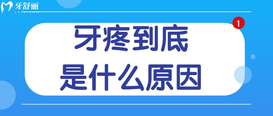 牙疼為何如此劇烈，牙疼的原因到底是什么？