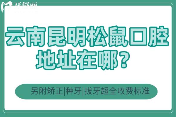 云南昆明松鼠口腔地址在哪？另附矯正