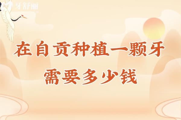 在自貢種植一顆牙需要多少錢