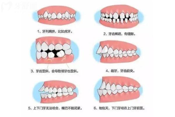 德亞口腔價(jià)格表