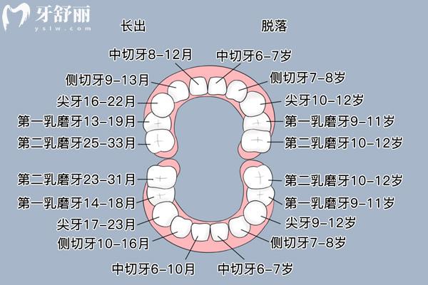 孩子換牙期間需要補鈣嗎
