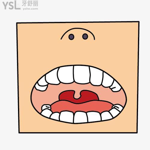 再生牙齒是真是假？最近幾年能臨床嗎？