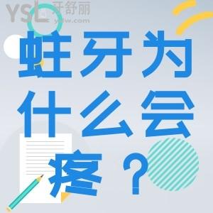 蛀牙為什么會疼？